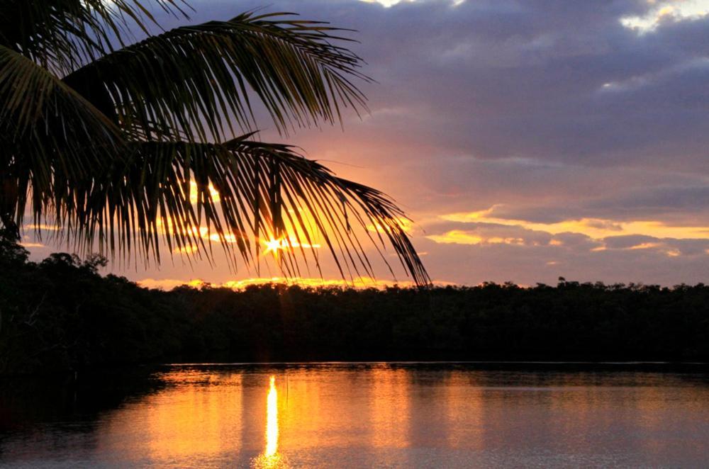 River Wilderness Waterfront Cabins Everglades City Exterior photo